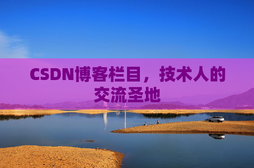 CSDN博客栏目，技术人的交流圣地